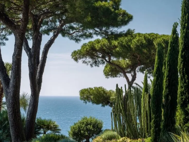 Jardin au bord de la mer : pins parasols, cyprès, plantes grasses et pelouse, avec la mer en arrière-plan.