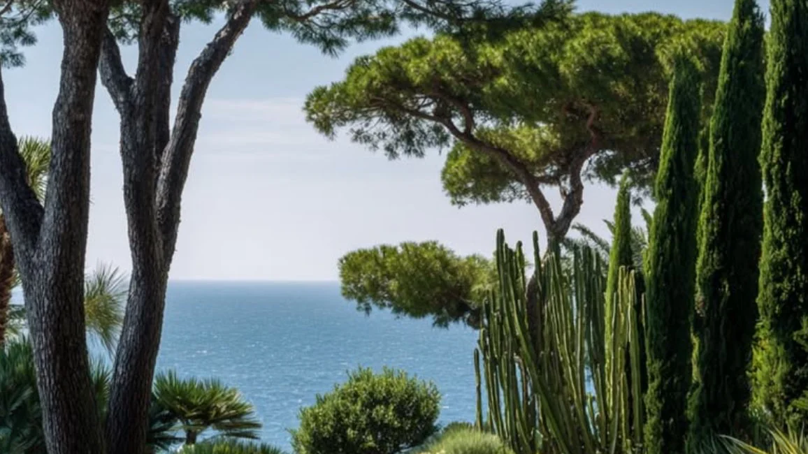 Jardin méditerranéen au bord de la mer : pins parasols, cyprès, cactus et massifs de plantes grasses.